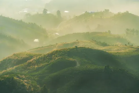 초록 언덕 4K 배경화면 · nature · 3840×2560