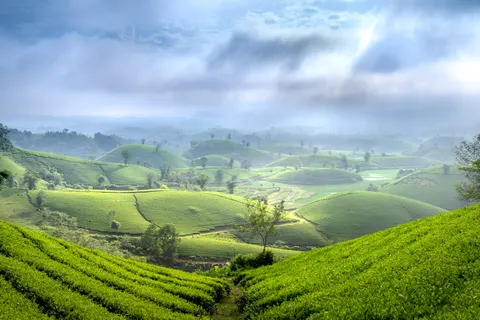 초록 언덕 4K 배경화면 · nature · 3840×2560
