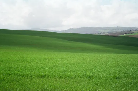 绿色丘陵 4K壁纸 · nature · 3840×2547