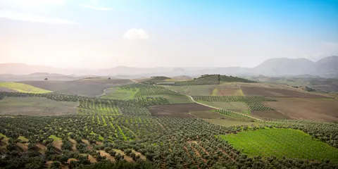 绿色丘陵 4K壁纸 · nature · 3840×1920