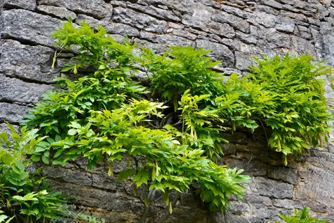 Stone Wall 4K Wallpaper · textures · 3840×2560