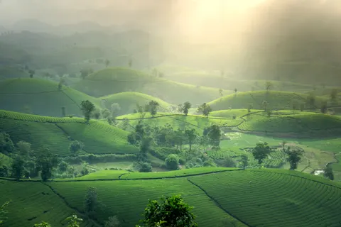 خلفية تلال خضراء بدقة 4K · nature · 3840×2560
