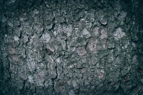 Leather 4K Wallpaper · textures · 3840×2560