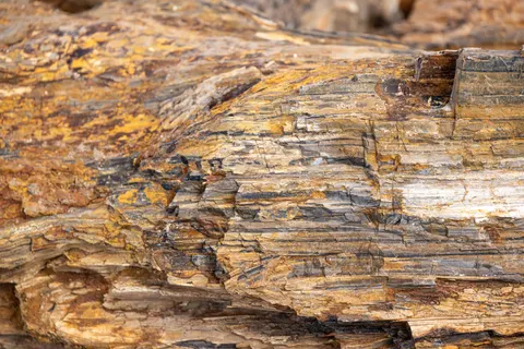 Bladgoud 4K-achtergrond · textures · 3840×2561