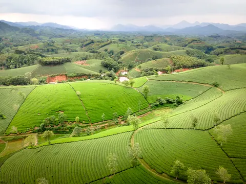 Fond d'écran Collines vertes 4K · nature · 3840×2880