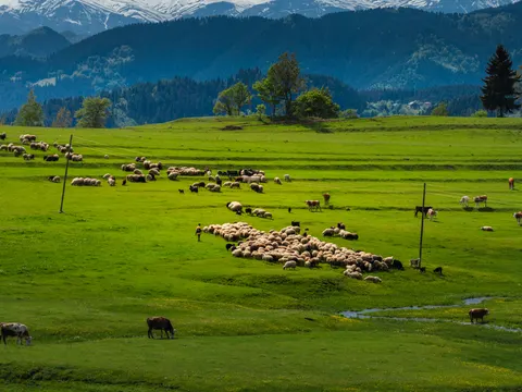 Green Hills 4K Wallpaper · nature · 3840×2879