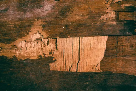 Tapeta Tekstura drewna 4K · textures · 3840×2560