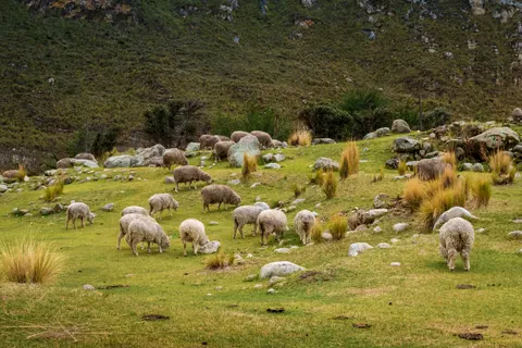 Sfondo Machu Picchu 4K · travel · 3840×2560