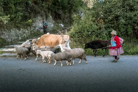 والپیپر ماچو پیچو با کیفیت 4K · travel · 3840×2556