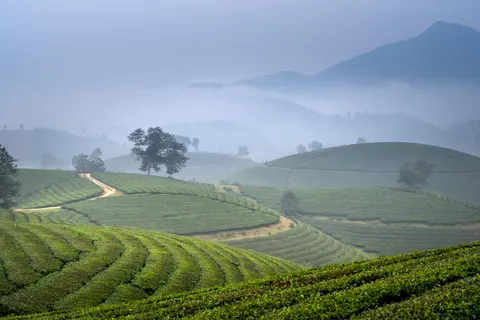 Fond d'écran Collines vertes 4K · nature · 3840×2560