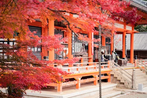Kyoto 4K Wallpaper · travel · 3840×2560