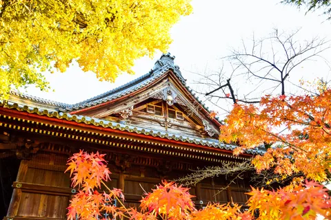 Kyoto 4K Wallpaper · travel · 3840×2560