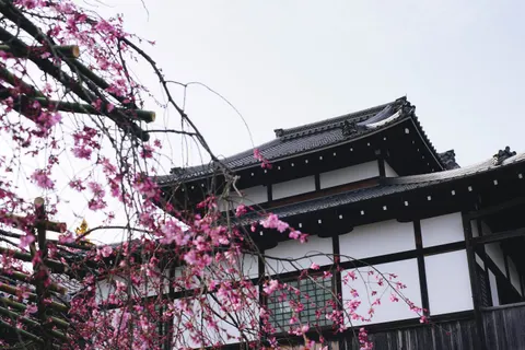 Sfondo Kyoto 4K · travel · 3840×2560