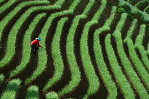 Bali 4K Wallpaper · travel · 3840×2560