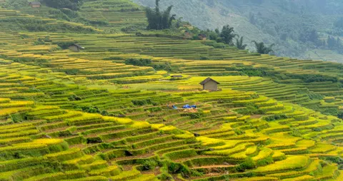 Bali 4K Wallpaper · travel · 3840×2039