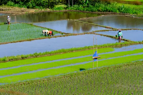 Bali 4K Wallpaper · travel · 3840×2560