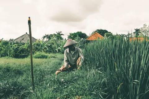 Bali 4K Wallpaper · travel · 3840×2560