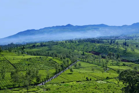 Fond d'écran Collines vertes 4K · nature · 3840×2561