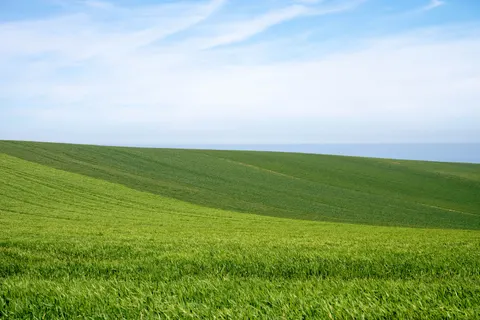 초록 언덕 4K 배경화면 · nature · 3840×2560
