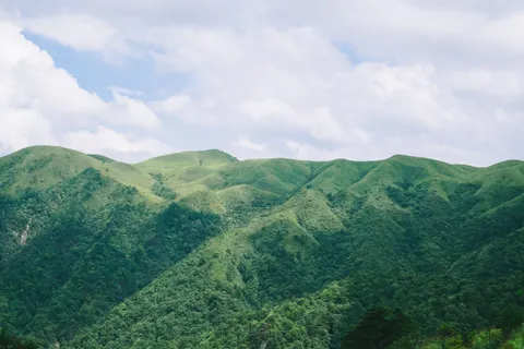 خلفية تلال خضراء بدقة 4K · nature · 3840×2563