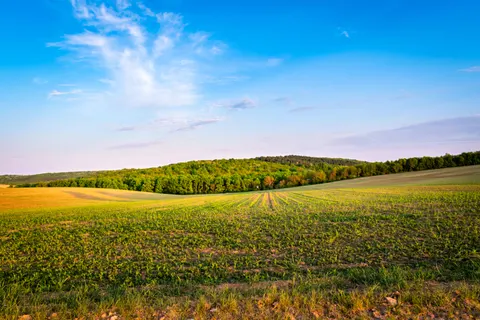 Обои Зелёные холмы 4K · nature · 3840×2560