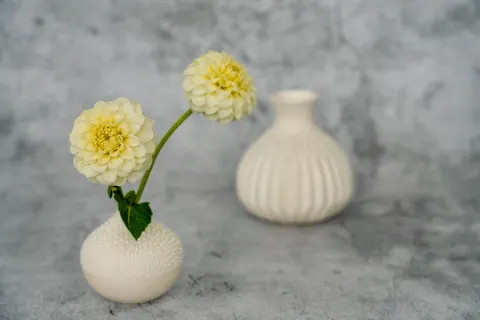 Fondo de pantalla Dalia 4K · flowers · 3840×2561