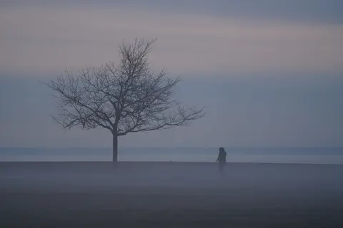 외로운 나무 4K 배경화면 · minimal · 3840×2560