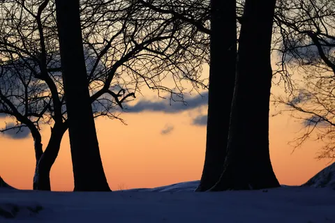 日落剪影 4K壁纸 · sunset · 3840×2561