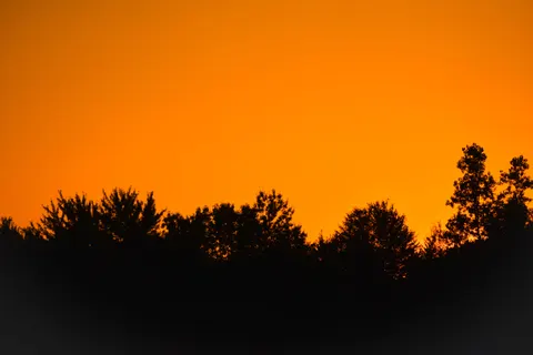 Sunset Silhouette 4K Wallpaper · sunset · 3840×2560