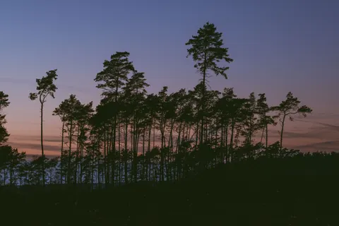 Sunset Silhouette 4K Wallpaper · sunset · 3840×2560