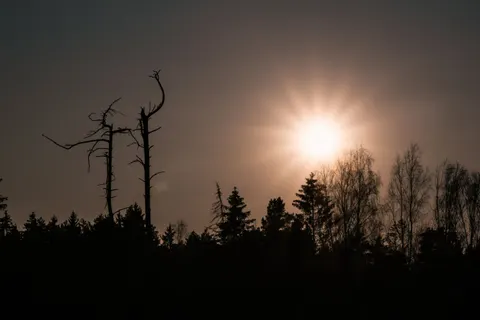 Sunset Silhouette 4K Wallpaper · sunset · 3840×2560