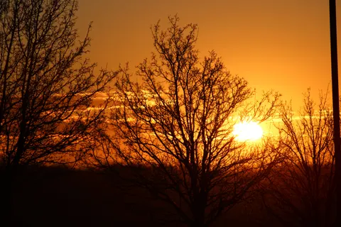 Sunset Silhouette 4K Wallpaper · sunset · 3840×2560