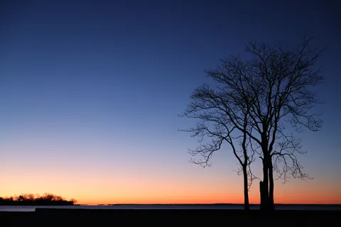 Sunset Silhouette 4K Wallpaper · sunset · 3840×2561