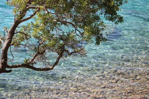 Wallpaper Laguna Jernih 4K · ocean · 3840×2560