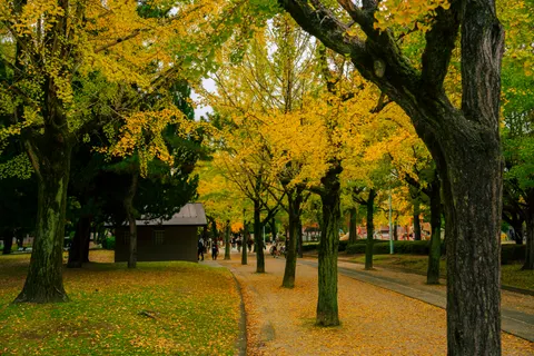 Autumn Park 4K Wallpaper · autumn · 3840×2560