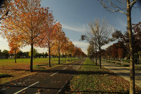 Autumn Park 4K Wallpaper · autumn · 3840×2560