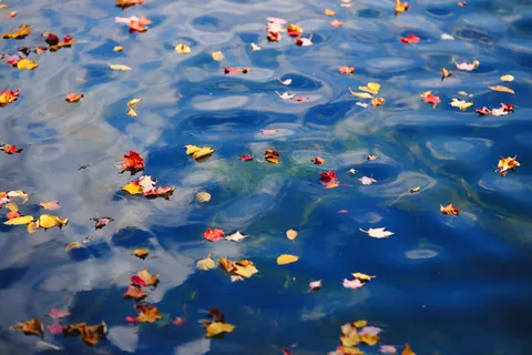 Herfstmeer 4K-achtergrond · autumn · 3840×2560