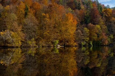 Tapeta Jesienne jezioro 4K · autumn · 3840×2560