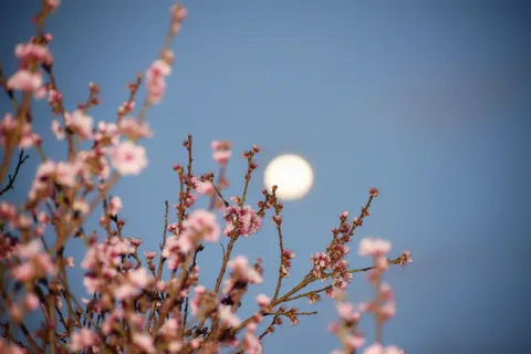 Full Moon 4K Wallpaper · space · 3840×2560