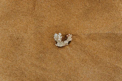 Sfondo Increspature di sabbia 4K · minimal · 3840×2560