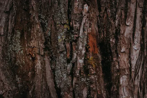 Wallpaper Serat Kayu 4K · minimal · 3840×2560