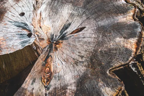 Wood Grain 4K Wallpaper · minimal · 3840×2560
