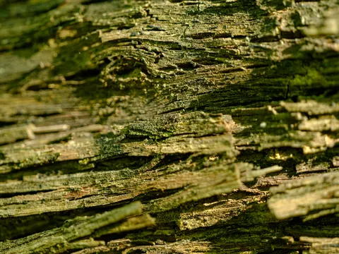 Houtnerf 4K-achtergrond · minimal · 3840×2880