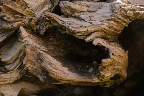 Holzmaserung 4K Hintergrundbild · minimal · 3840×2560
