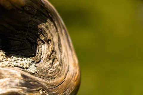 Wood Grain 4K Wallpaper · minimal · 3840×2560