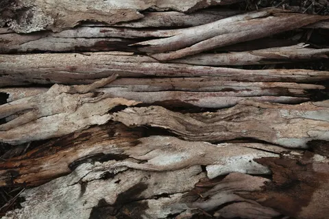 Sfondo Venature del legno 4K · minimal · 3840×2560