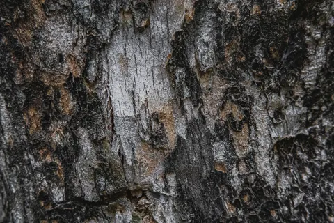 Wood Grain 4K Wallpaper · minimal · 3840×2560
