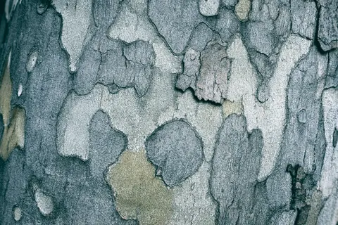 Wood Grain 4K Wallpaper · minimal · 3840×2560