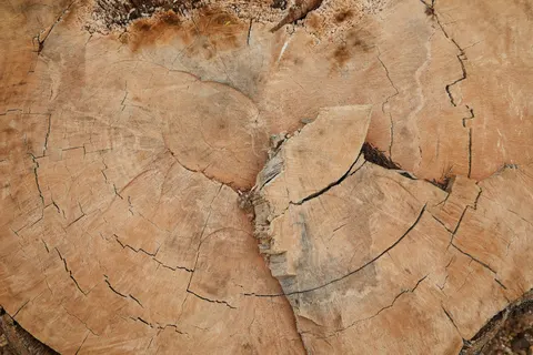 Wood Grain 4K Wallpaper · minimal · 3840×2563