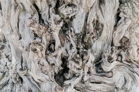 Holzmaserung 4K Hintergrundbild · minimal · 3840×2560